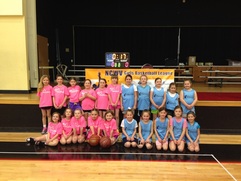 2nd Grade Championship Game Pink Panthers (Gump) Pink vs. Preston Memorial (Monti/Simpson) Blue
